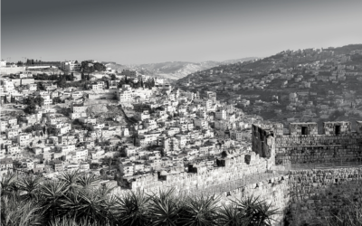 Who are the citizens of Christ’s millennial kingdom?