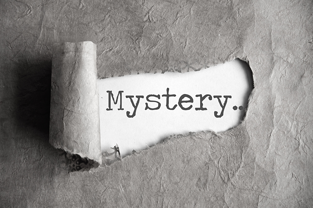 Mystery Man